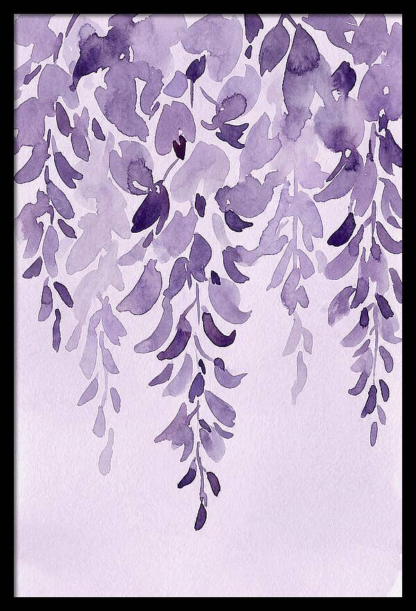 Wisteria Whispers In Spring