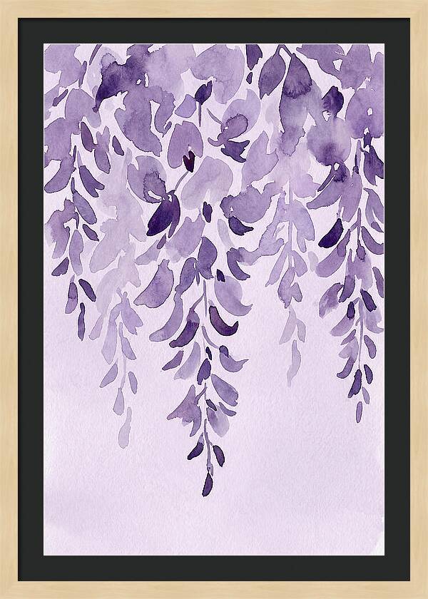 Wisteria Whispers In Spring