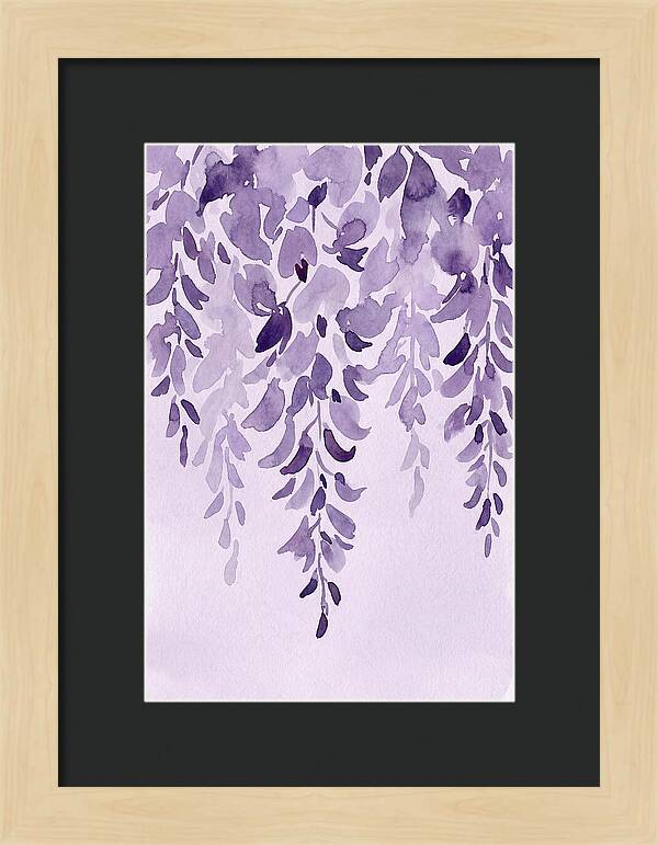 Wisteria Whispers In Spring