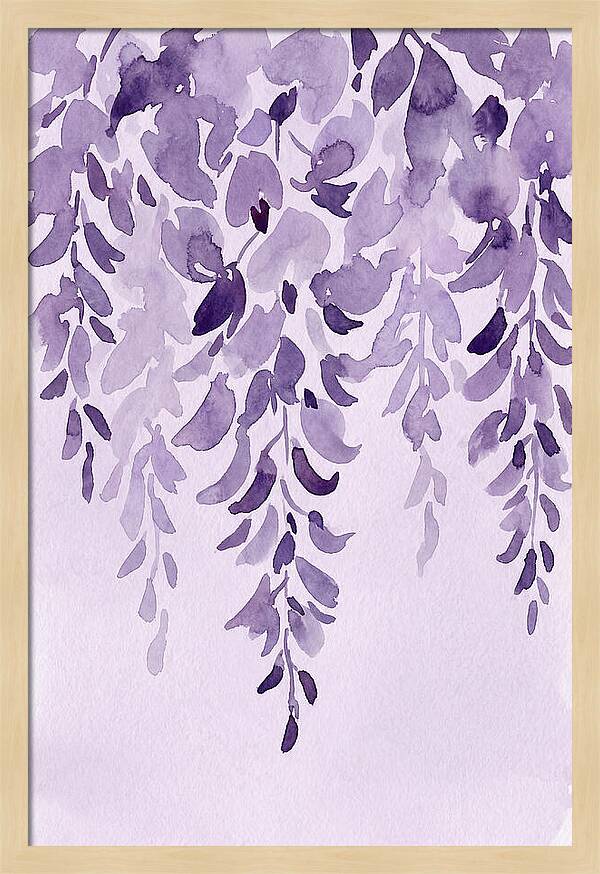 Wisteria Whispers In Spring