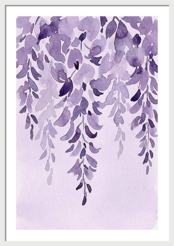 Wisteria Whispers In Spring