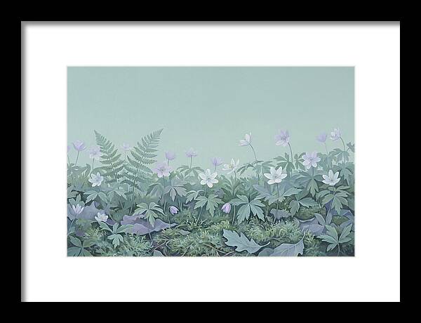Wood Anemone Awakening