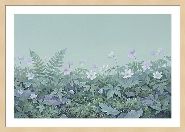 Wood Anemone Awakening