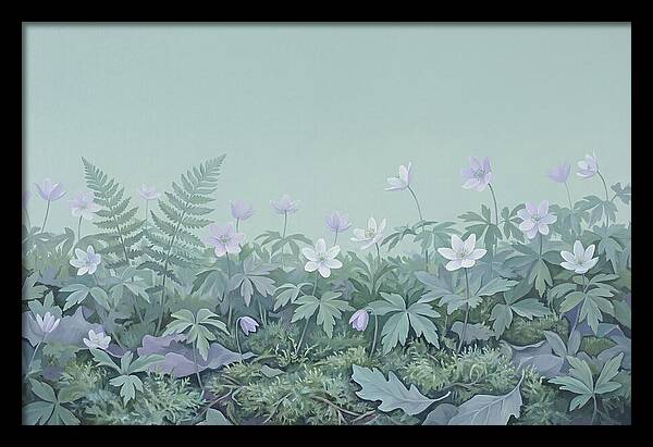 Wood Anemone Awakening
