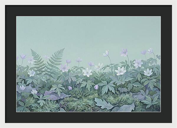 Wood Anemone Awakening