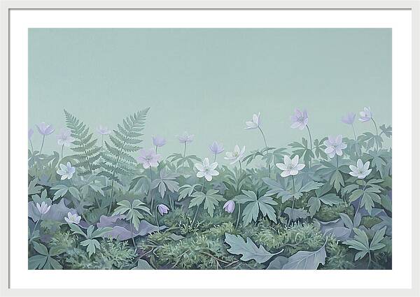 Wood Anemone Awakening