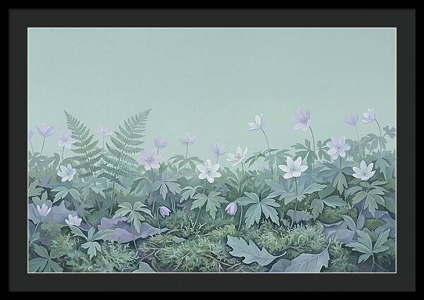 Wood Anemone Awakening
