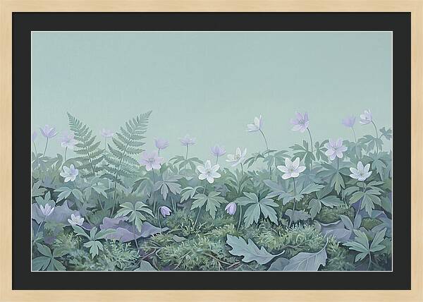 Wood Anemone Awakening