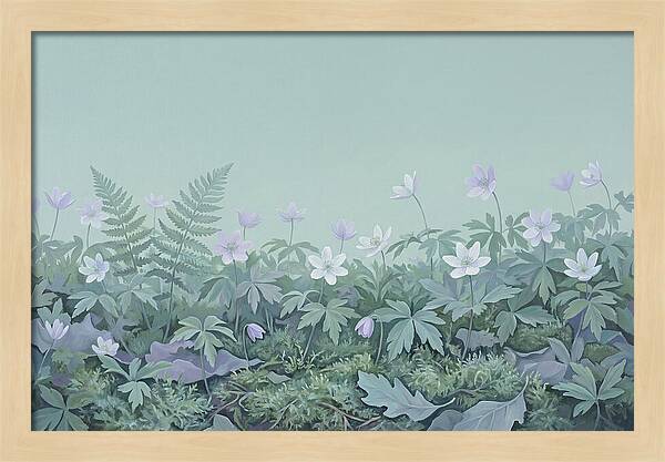 Wood Anemone Awakening