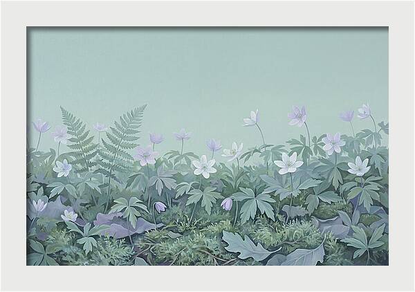 Wood Anemone Awakening