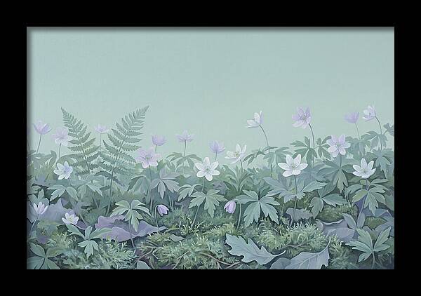 Wood Anemone Awakening