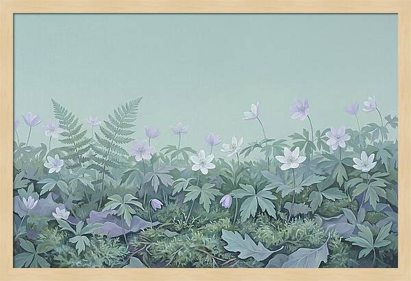 Wood Anemone Awakening
