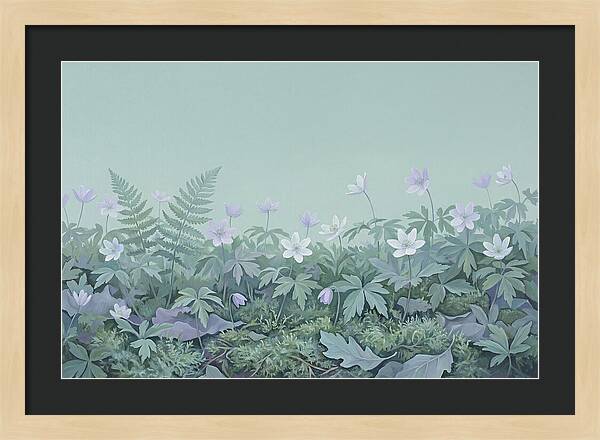 Wood Anemone Awakening