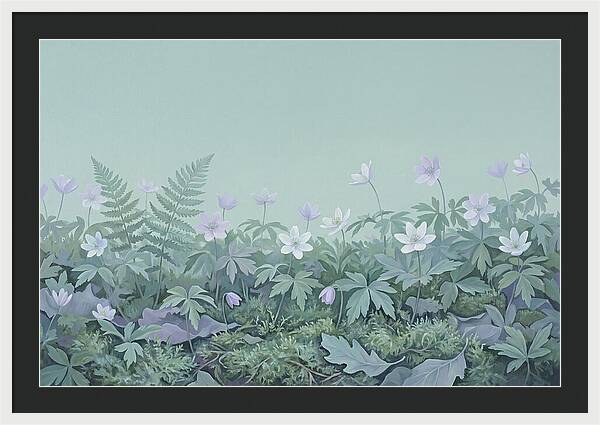 Wood Anemone Awakening
