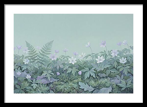 Wood Anemone Awakening