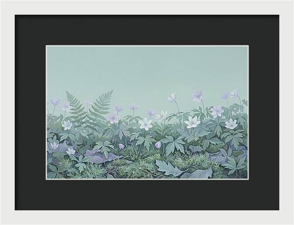 Wood Anemone Awakening