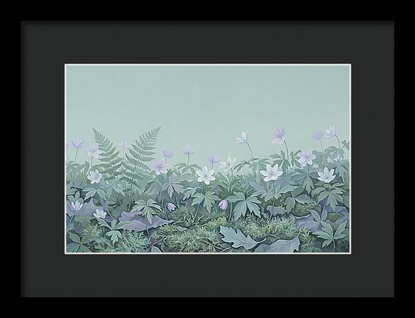 Wood Anemone Awakening