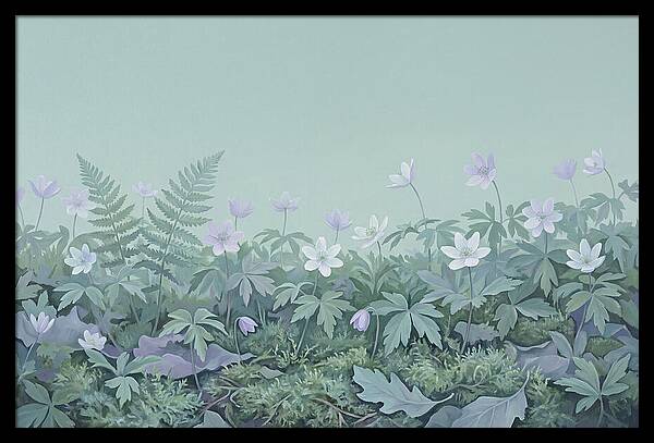 Wood Anemone Awakening