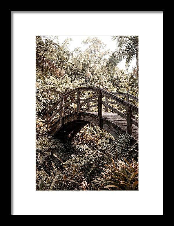Wooden Bridge Over Lush Garden