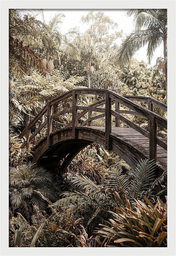 Wooden Bridge Over Lush Garden
