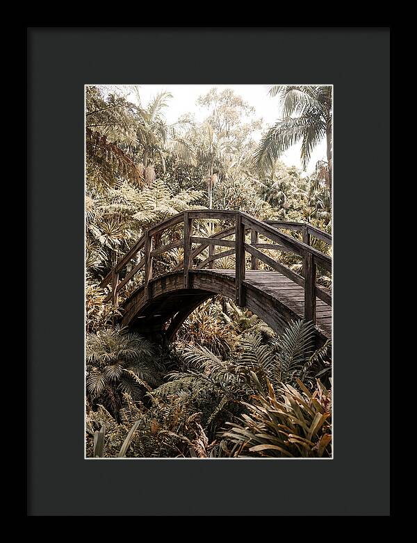 Wooden Bridge Over Lush Garden