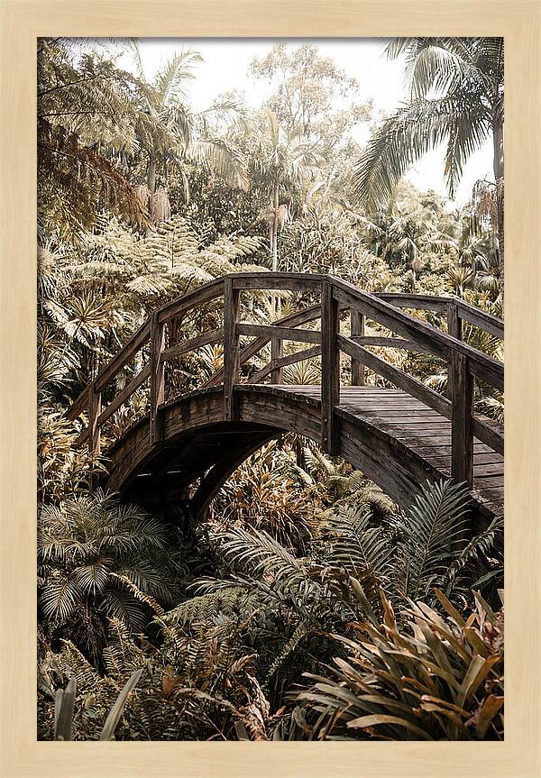 Wooden Bridge Over Lush Garden