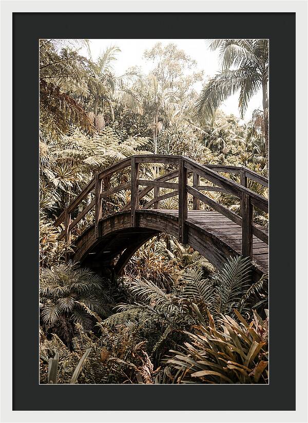 Wooden Bridge Over Lush Garden