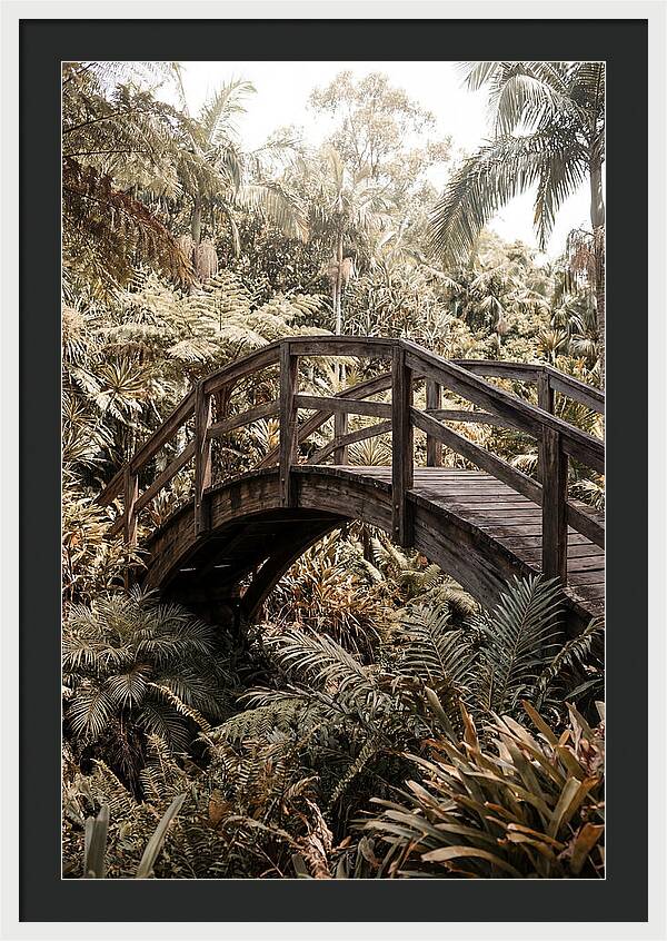 Wooden Bridge Over Lush Garden