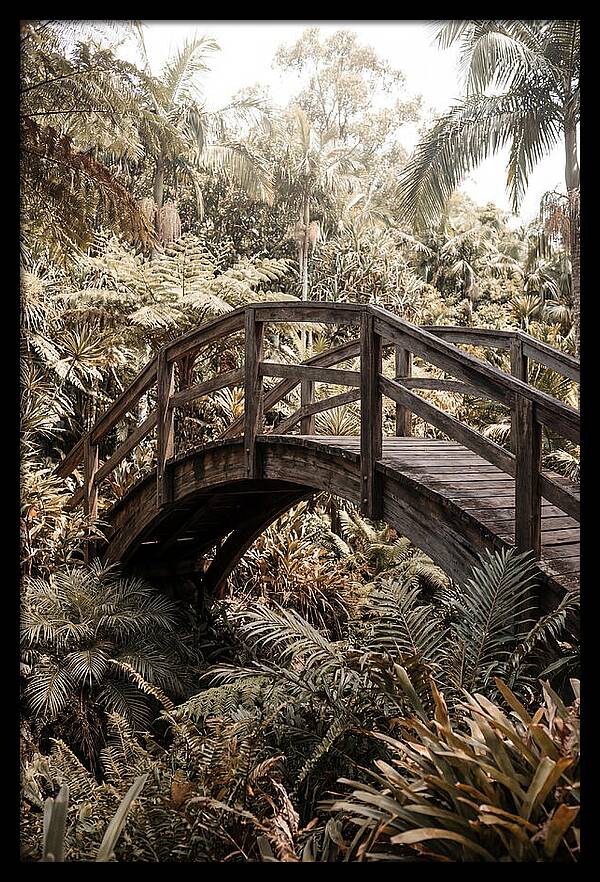 Wooden Bridge Over Lush Garden