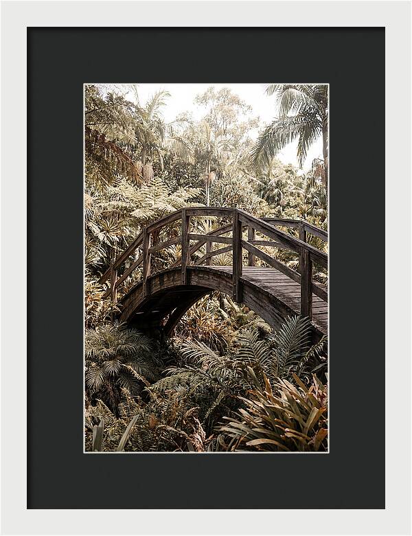 Wooden Bridge Over Lush Garden