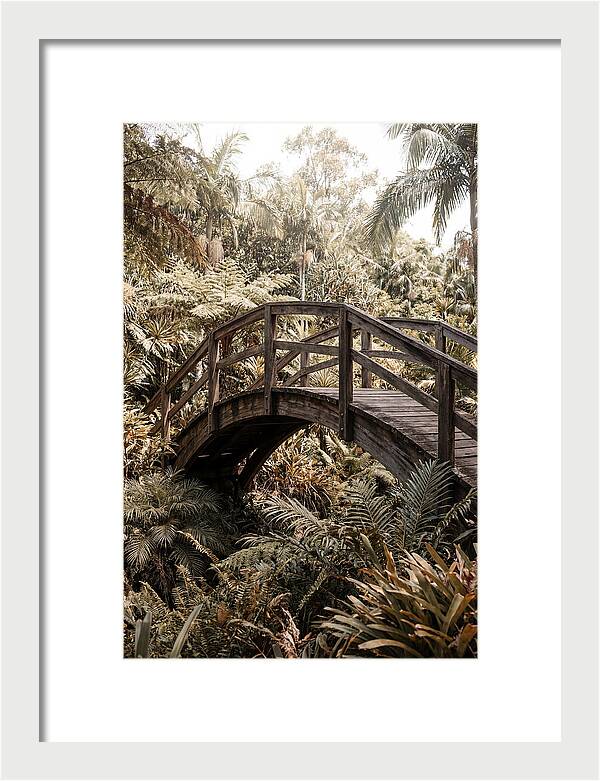 Wooden Bridge Over Lush Garden