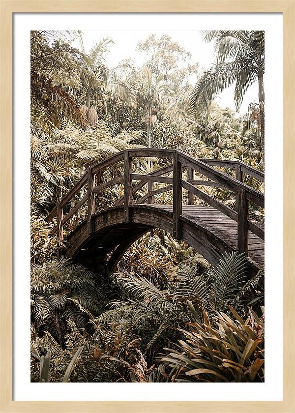 Wooden Bridge Over Lush Garden