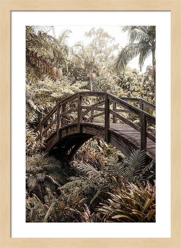 Wooden Bridge Over Lush Garden