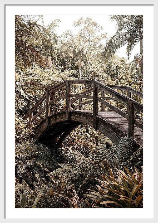 Wooden Bridge Over Lush Garden