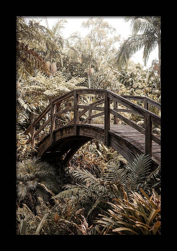 Wooden Bridge Over Lush Garden