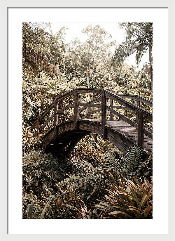 Wooden Bridge Over Lush Garden