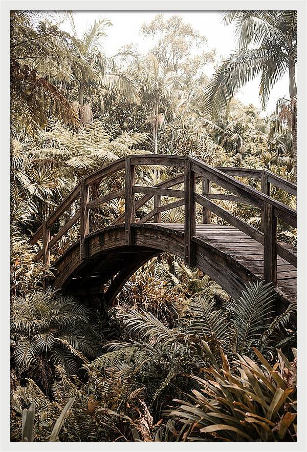 Wooden Bridge Over Lush Garden