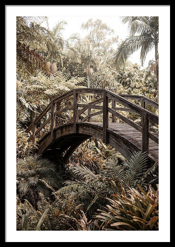 Wooden Bridge Over Lush Garden