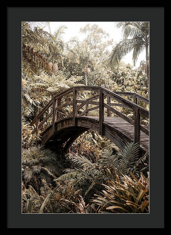 Wooden Bridge Over Lush Garden