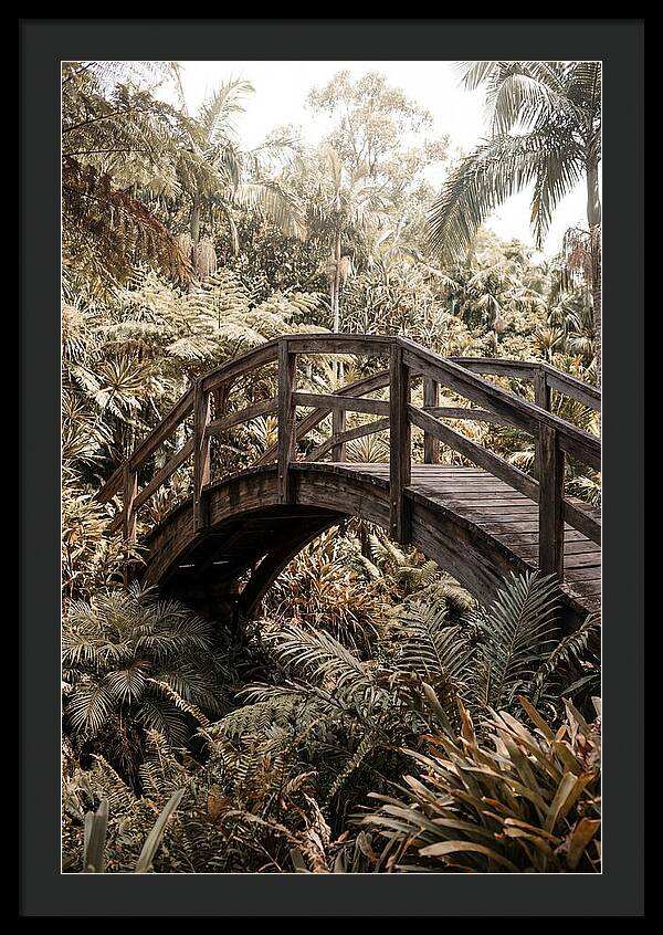 Wooden Bridge Over Lush Garden