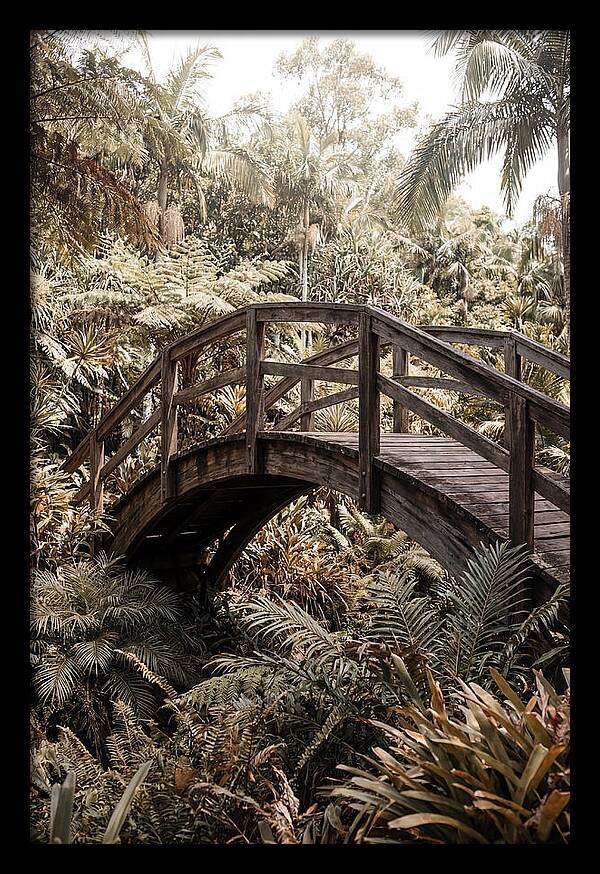 Wooden Bridge Over Lush Garden