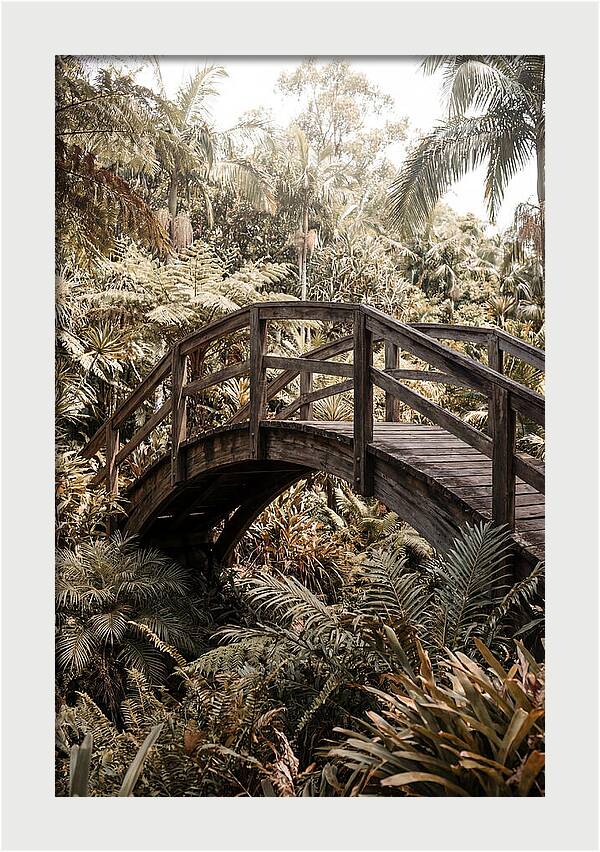 Wooden Bridge Over Lush Garden