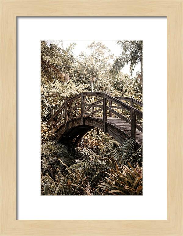 Wooden Bridge Over Lush Garden