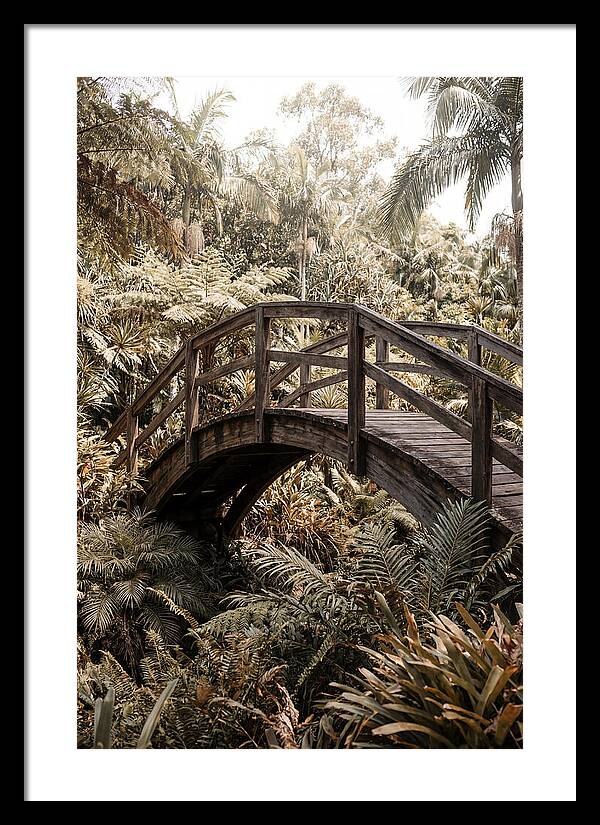 Wooden Bridge Over Lush Garden