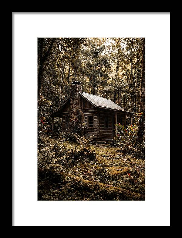 Wooden Cabin In The Forest