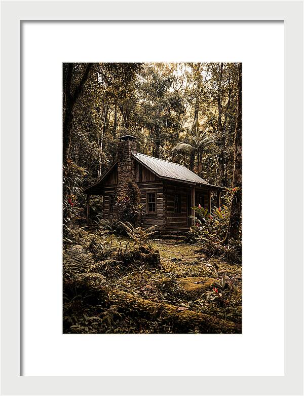 Wooden Cabin In The Forest