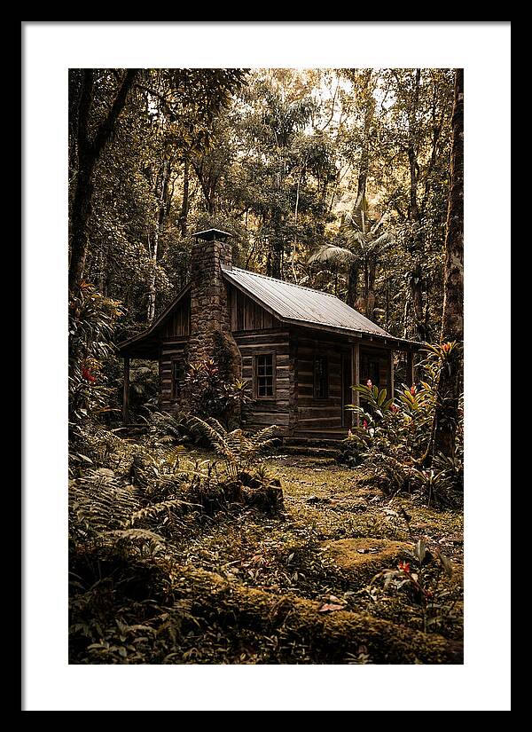 Wooden Cabin In The Forest