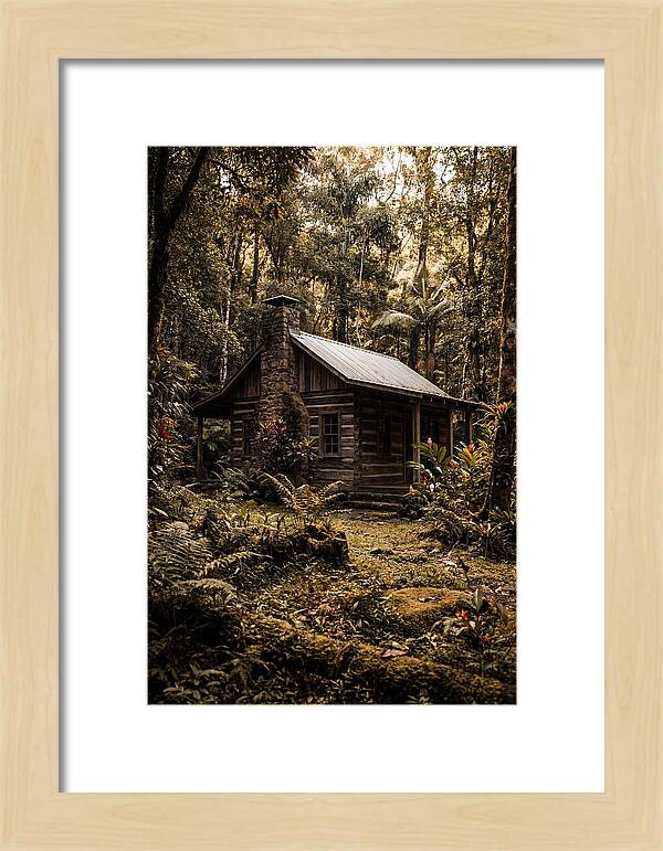 Wooden Cabin In The Forest