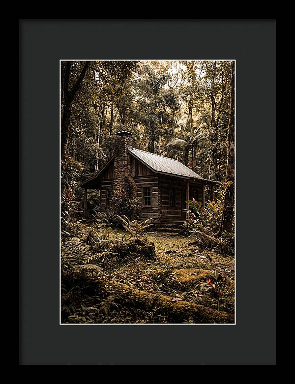 Wooden Cabin In The Forest