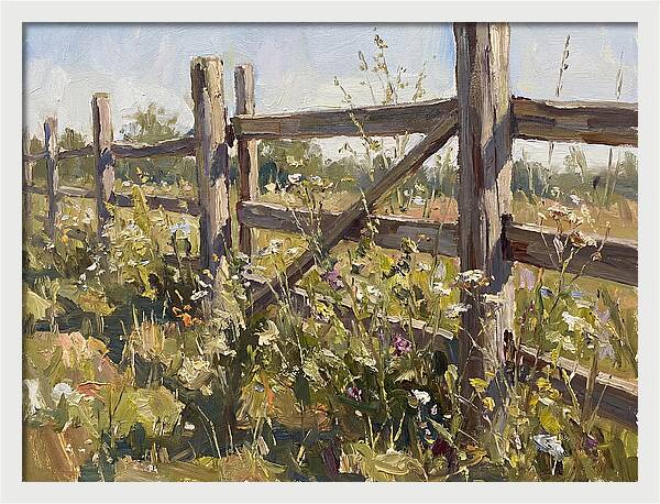 Wooden Fence In Bloom
